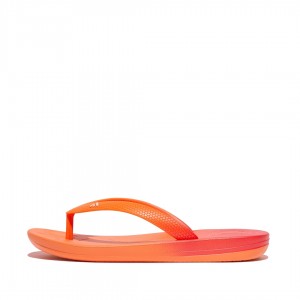 Fitflop Iqushion Rubber Kids'' Flip Flops Red | IE-OMJB-34726