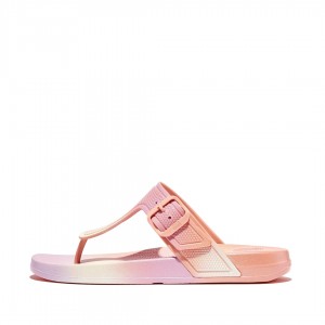 Fitflop Iqushion Rubber Tpu Women's Flip Flops Pink | IE-ZFPX-73850